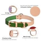 Personalized Leather Dog Collar with Engraved ID Tag