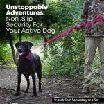 Pink Waterproof Dog Collar and Leash Set