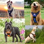 Personalized No Pull Dog Harness and Leash Set