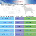 Personalized Leather Dog Collar with Engraved ID Tag