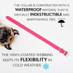 Pink Waterproof Dog Collar and Leash Set