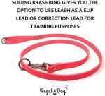 Pink Waterproof Dog Collar and Leash Set