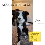 Personalized Heart-Shaped Pet ID Tags in Steel