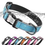 Personalized Reflective Dog Collar with QR Code