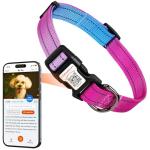 Personalized Reflective Dog Collar with QR Code