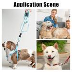 12-Pack Stainless Steel Slide-On Pet ID Tags