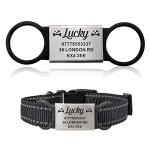 Personalized Silicone Dog and Cat ID Tags