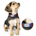 21 Blank Slide-On Silent Pet ID Tags