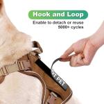 Service Dog Patches and ID Tag Set