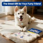 Luck Charm QR Code Pet ID Tags - 5 Pack