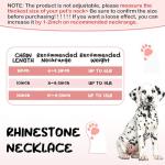 Personalized Gold-Plated Pet ID Collar with Bling