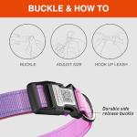 Personalized Reflective Dog Collar with QR Code