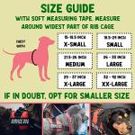 Service Dog Vest with ID Tag and Info Cards