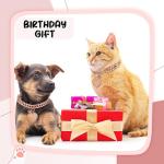 Personalized Gold-Plated Pet ID Collar with Bling