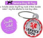 Service Dog Vest with ID Tag and Info Cards