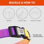 Personalized Reflective Dog Collar with QR Code