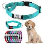 Custom Reflective Martingale Dog Collar with Name