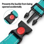 Custom Reflective Martingale Dog Collar with Name