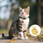 Personalized Engraved Pet ID Tags - 5 Pack