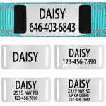 Custom Reflective Martingale Dog Collar with Name
