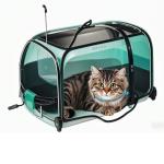 Personalized Breakaway Cat Collar with Bell