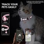 Breakaway Cat Collar Set with QR Code & Bell