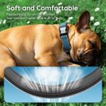 Personalized Reflective Dog Collar with QR Code