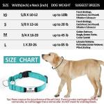 Custom Reflective Martingale Dog Collar with Name