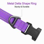 Reflective Neoprene Dog Collar for Small Dogs