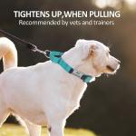 Custom Reflective Martingale Dog Collar with Name