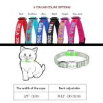 Personalized Breakaway Cat Collar with Bell