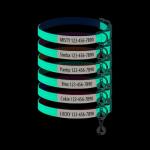 Personalized Glow-in-the-Dark Cat Collar with Bell