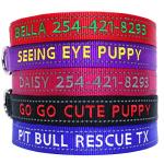 Reflective Personalized Dog Collars with Name