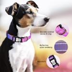 Personalized Reflective Dog Collar with QR Code