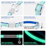 Personalized Glow-in-the-Dark Cat Collar with Bell