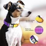 Personalized Reflective Dog Collar with QR Code