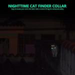 Personalized Glow-in-the-Dark Cat Collar with Bell