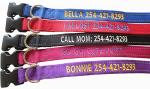 Reflective Personalized Dog Collars with Name