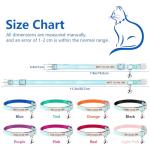 Personalized Glow-in-the-Dark Cat Collar with Bell