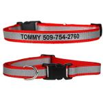 Personalized Reflective Dog Collar for Small Dogs