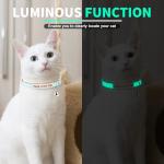 Personalized Glow-in-the-Dark Cat Collar with Bell