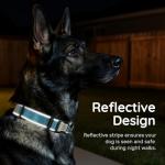 Personalized Reflective Dog Collar with QR Code