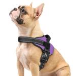 Rabbitgoo No Pull Dog Harness, Small, Purple