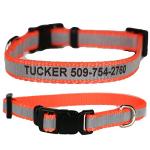 Personalized Reflective Dog Collar for Small Dogs