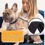 Personalized Reflective Dog Collar with Name