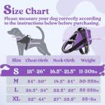 Rabbitgoo No Pull Dog Harness, Small, Purple