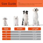 Personalized Reflective Dog Collar with QR Code