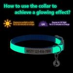 Personalized Glow-in-the-Dark Cat Collar with Bell