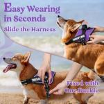 Rabbitgoo No Pull Dog Harness, Small, Purple