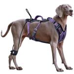 Heavy Duty No Pull Dog Harness for Large Dogs